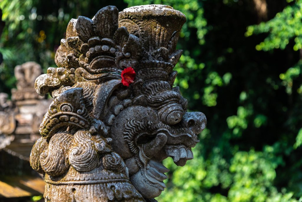 pexels mariusz 8337589 1024x684 - Consejos para viajar a Bali