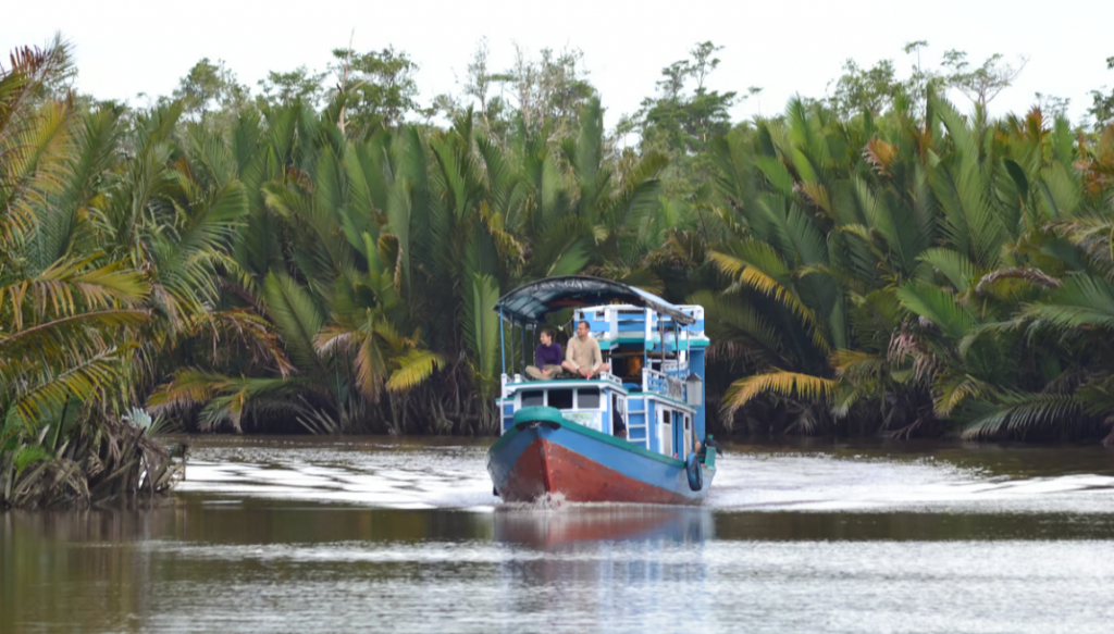 Borneo 1024x583 - Viajes a Indonesia