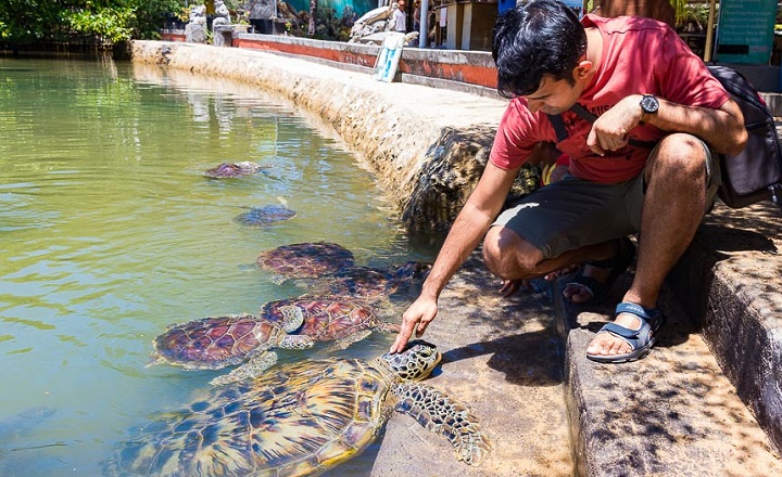 Isla tortuga - Deportes acu&aacute;ticos en Bali