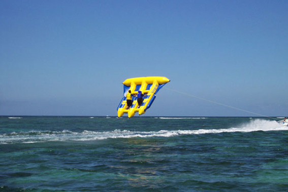 Pez volador en Bali - Pez volador en Bali