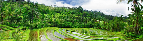 guia espanol en Bal3 - Guia espa&ntilde;ol en Bali